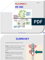 Kuliah 3-Nutrient Uptake - En.id