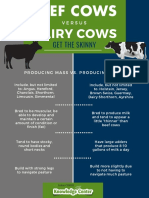 Beef Cows Vs Dairy Cows