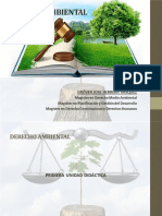Diapositivas Derecho Ambiental_1