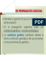 Principios de Propagación Por Estacas