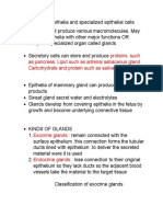 Secretory Epithelia and Specialized Epithelial Cells Origin