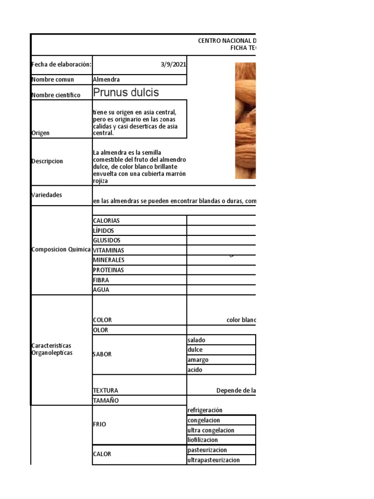 Ficha Tecnica de La Almendra | PDF | Almendra | Industria de alimentos