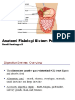 Anfis Sistem Pencernaan - En.id