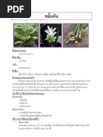 Download 3 by Akanate Bhangyo-Dha  SN49852540 doc pdf