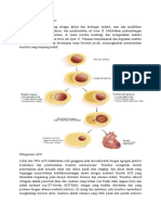 Patogenesis ACS