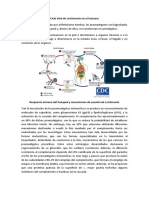 Ciclo vital de Leishmania en el humano y respuesta inmune