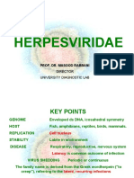 Herpesviridae: Prof. Dr. Masood Rabbani