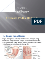 Organ Pada Hewan