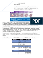 Fisiopatología Del Ca de Próstata