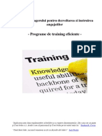 Ghidul Managerului Pentru Programe de Training Eficiente-Costi Balan