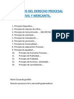 Principios Del Derecho Procesal Civil y Mercantil