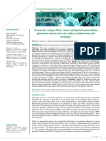 Endocarp Terminalia - Catappa - Flour - Extract - Mitigated - Monosod