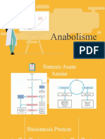 MB Anabolisme Protein