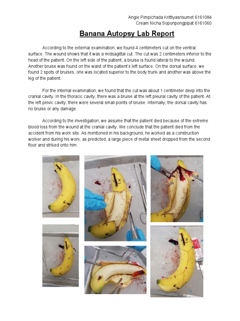 Angie Cream Banana Autopsy Lab Report PDF