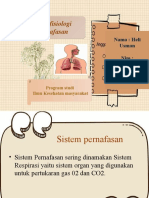 Sistem Pernafasan