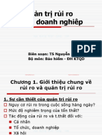 Quan Tri Rui Ro Trong Doanh Nghiep Bao Hiem Nguyen Hai Duong Chuong 1 Gioi Thieu Chung Ve Quan Tri Rui Ro (Cuuduongthancong - Com)