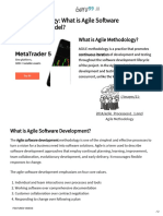 Agile Methodology - What Is Agile Software Development Model