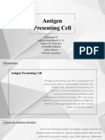 Antigen Presenting Cell (APC) Present (Repaired)