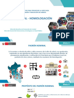 Padrón Nominal - Homologación - Meta 4 V2.rza Final