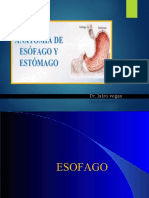 PDF Esofago y Estomago