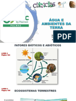 Aula 21 - Livro 4 -  Cap 11, 6º - Ecossistemas Terrestres e Aquáticos