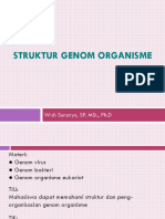 Struktur Genom Organisme - New