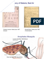 1 Lect 5-6. Malaria 2021