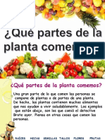 3 Ciencias Plantas Comestibles