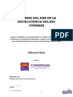 InformeDHR Cumbaza Enero 2015