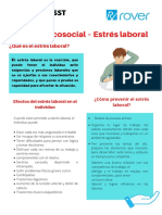 El Estrés Laboral (20)