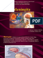 Meningita FFT 2021