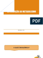 Aula 2 - Introdução Ao Metabolismo.