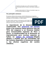 La Salud Del Planeta Entero Depende de Esta Región