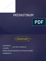 Mediastinum Great Vessels