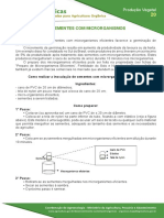 Inoculação de Sementes com Microrganismos Eficientes