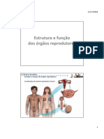N1. PPT - Estrutura e função dos órgãos reprodutores