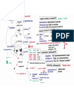 Cholinergics Pns