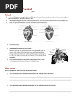 Biology Worksheet Sheep Heart Dissection