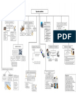 Mapa conceptual auditoria integral