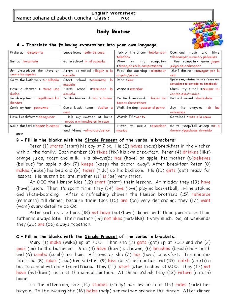 Daily Routine Translation Worksheet | PDF