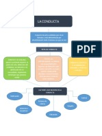 Mapa Conceptual LA CONDUCTA