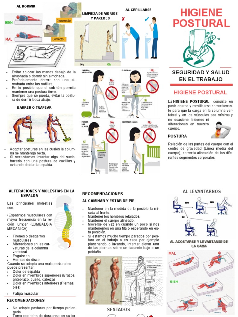 Higiene Postural: Recomendaciones Clave | PDF | Dolor lumbar | Sistema ...