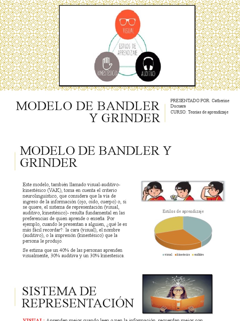 Modelo de Bandler y Grinder | PDF | Aprendizaje | Conceptos psicologicos