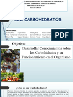 Hidratos de Carbono (Carbohidratos)