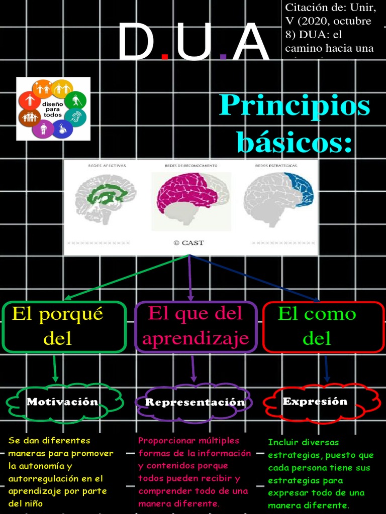 Principios Básicos del DUA | PDF