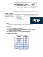 Informe 6-Jamon-Final