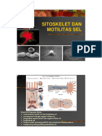 SITOSKELET DAN MOTILITAS SEL