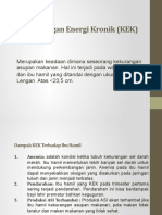 Kekurangan Energi Kronik (KEK)