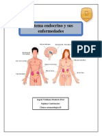 Sistema Endocrino PDF