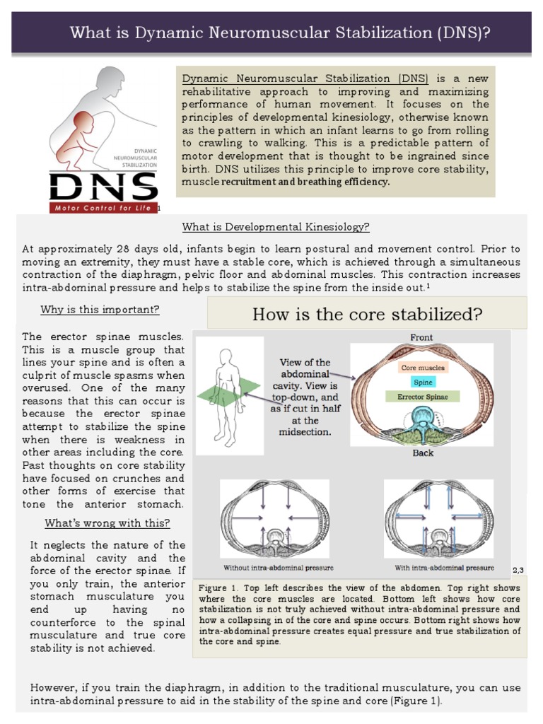 What is dynamic neuromuscular stabilization dns how is the core